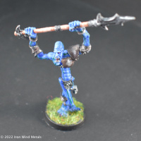 Close Combat Warrior 1
