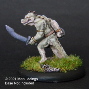 Lizard Man with  Sword and Shield