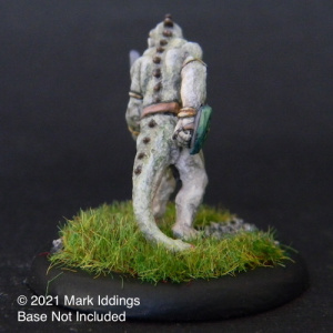 Lizard Man with  Sword and Shield