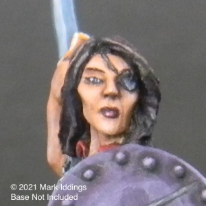 Female Fighter with Sword and Shield III